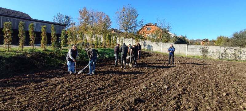 IMG 24c5026c86098cbec155d1cec08d764f V