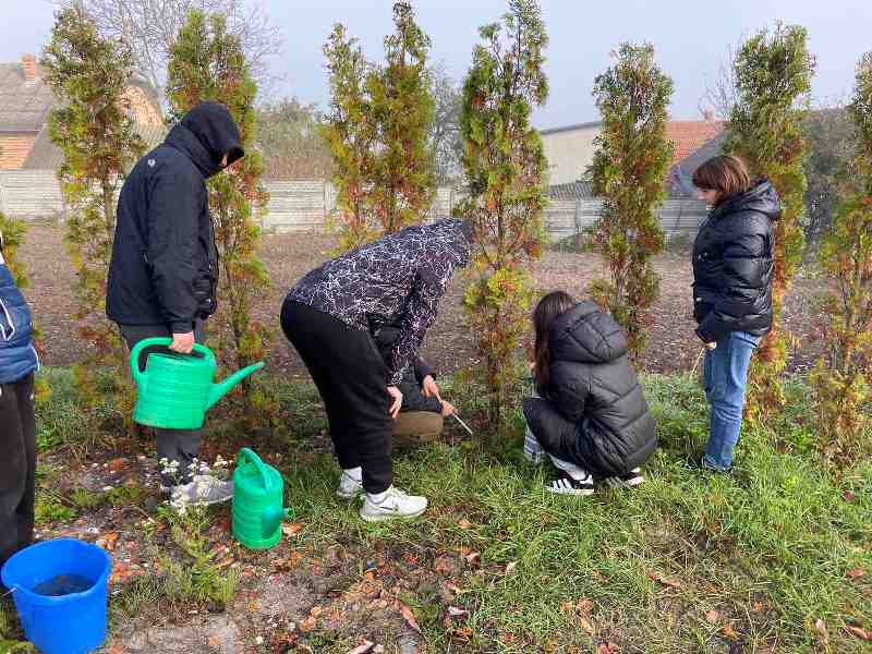 IMG 3660f6cb7cd12263f7611e2b7f6495ee V