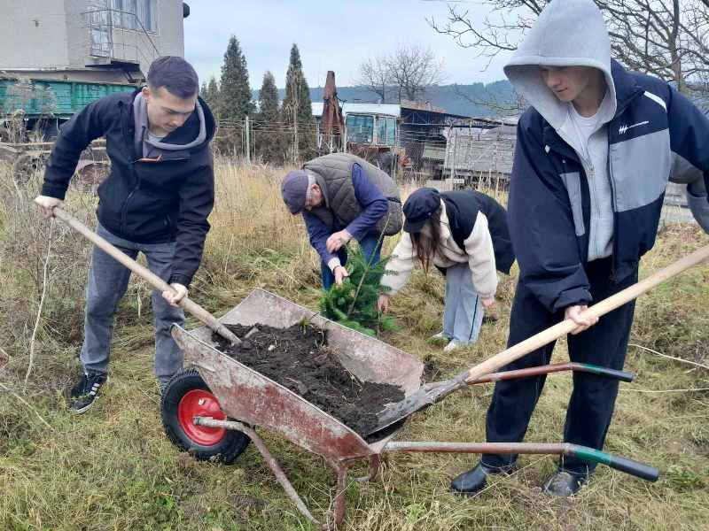 IMG 91279eebba3a35375fa57662e010ddd1 V