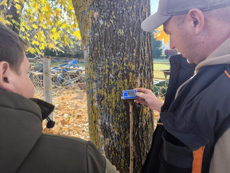 photo 2025 11 06 12 02 52