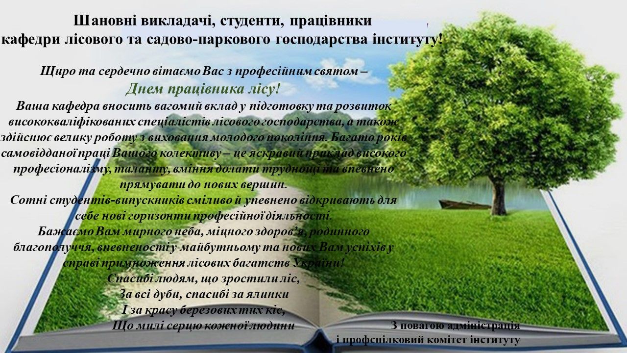 forest