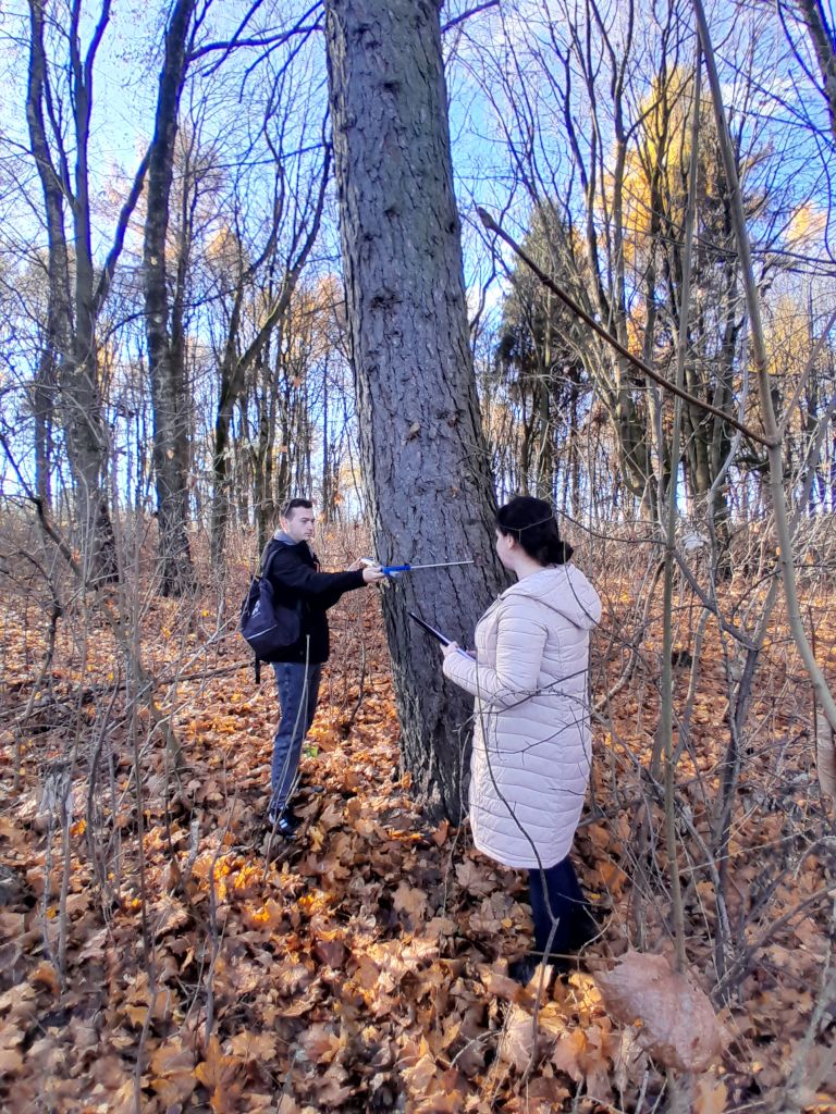 1 Rekreacijnij punkt 5