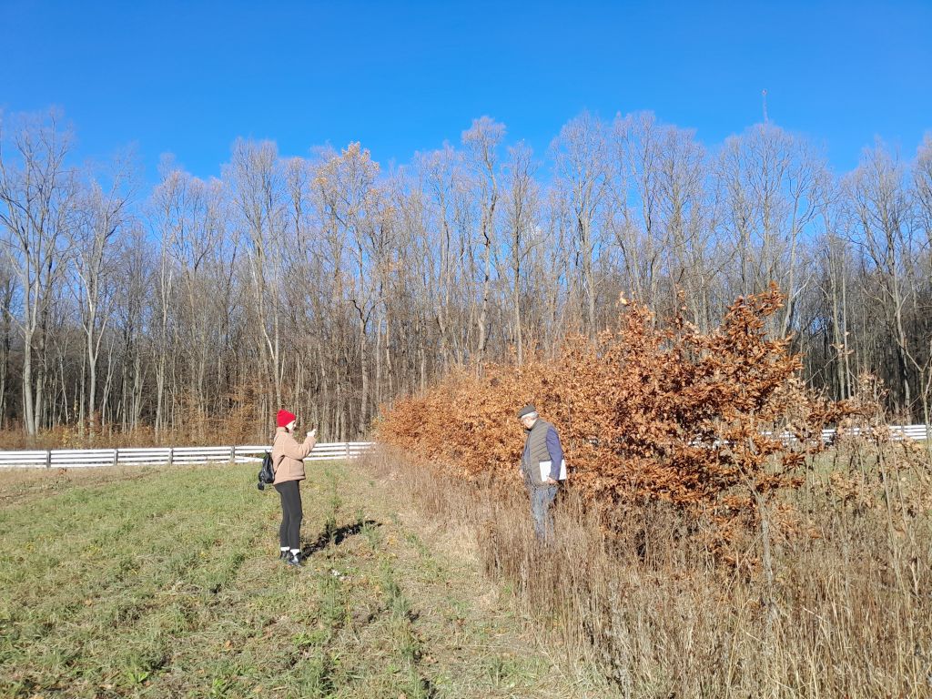 2 Lisovij rozsadnik  1