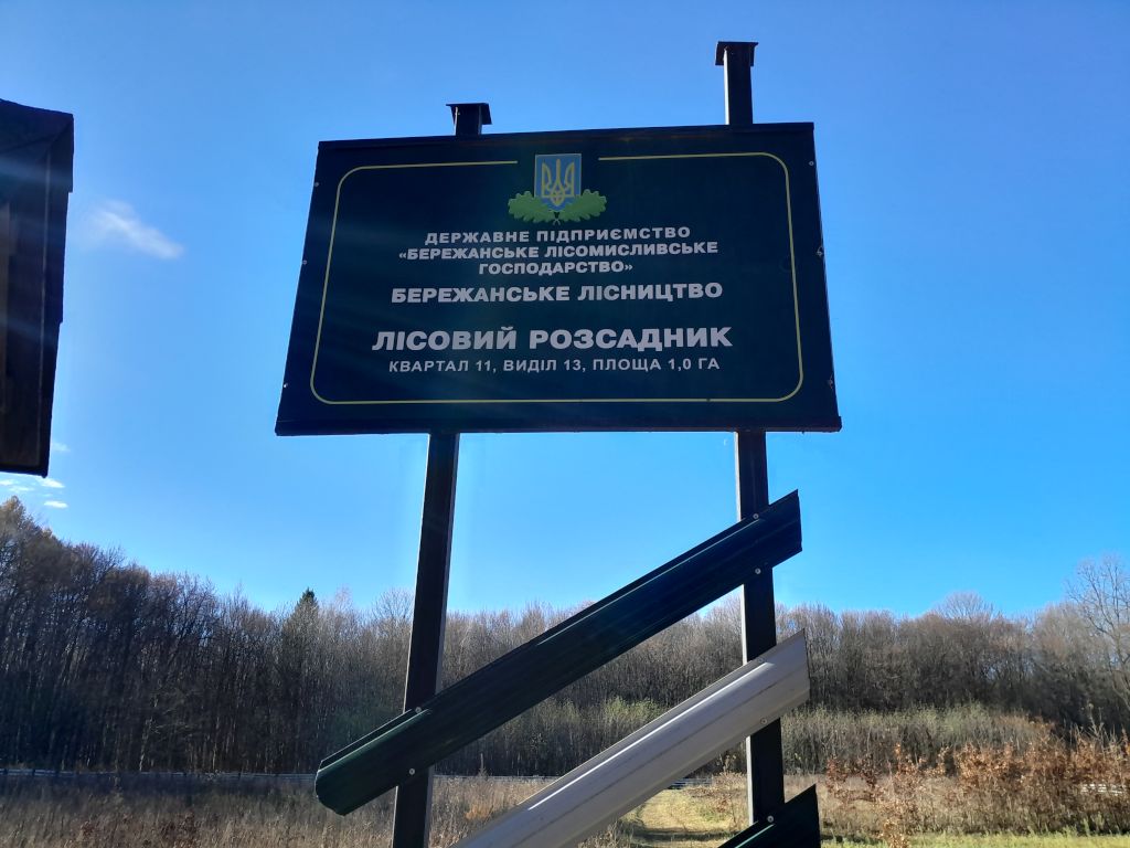 2 Lisovij rozsadnik  2