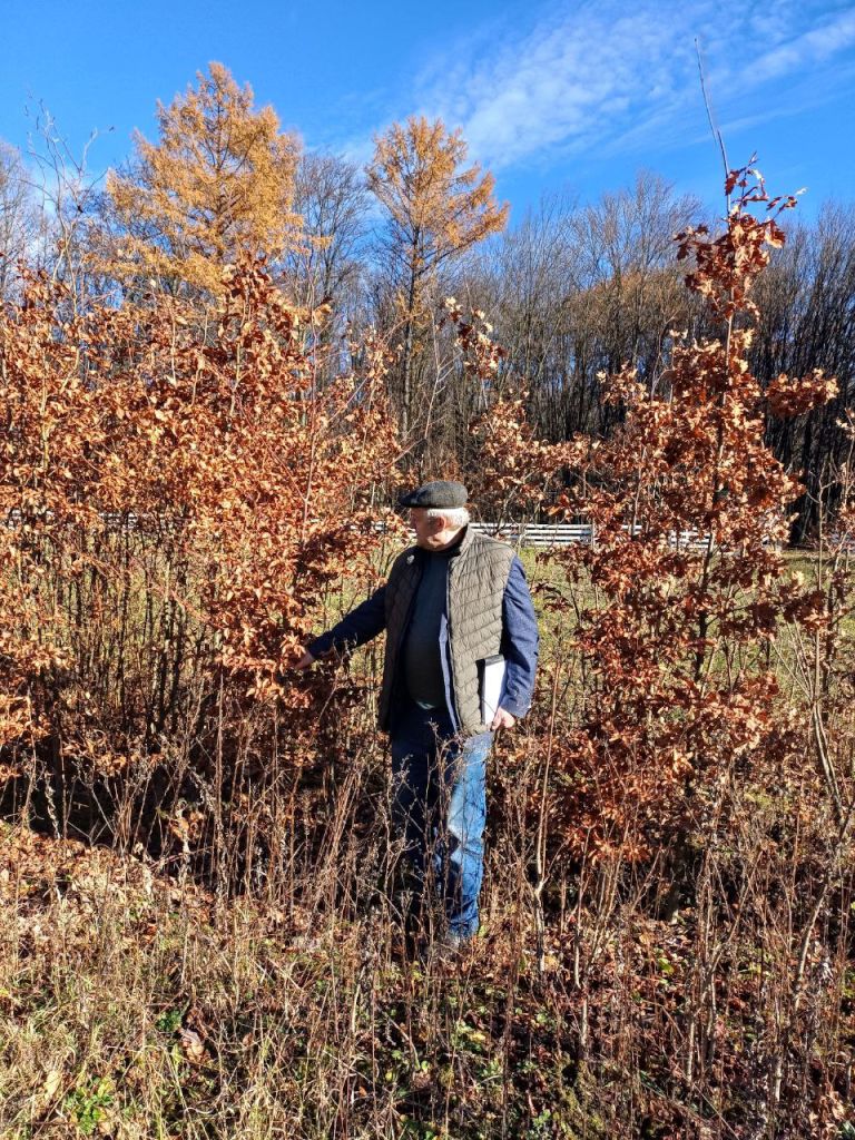 2 Lisovij rozsadnik  4