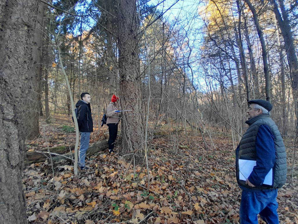 4 Berezanskij dendropark 2