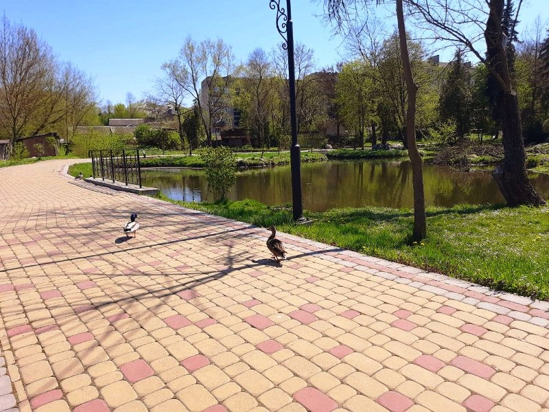 photo 2026 05 05 09 33 27 6
