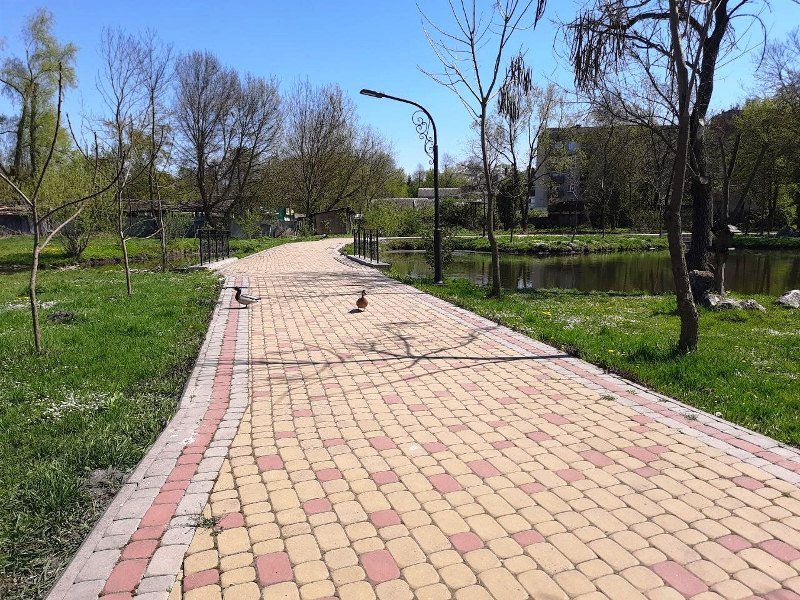 photo 2026 05 05 09 33 29 7