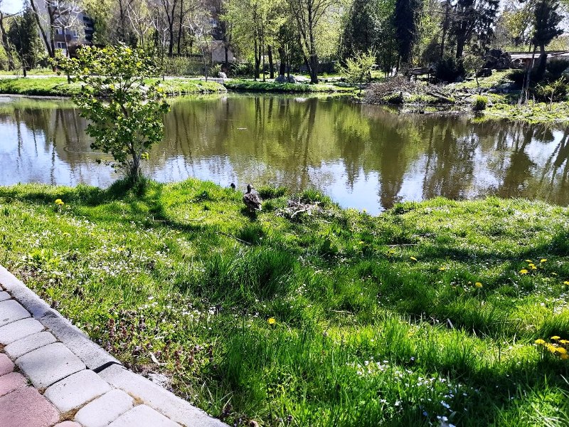 photo 2026 05 05 09 33 29 8